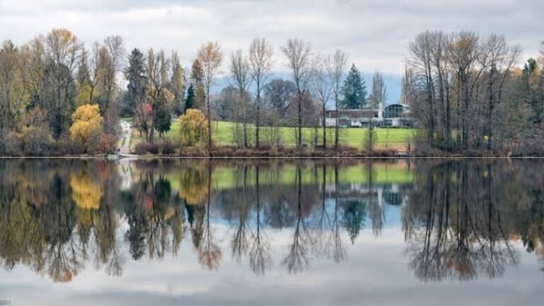 Deer Lake